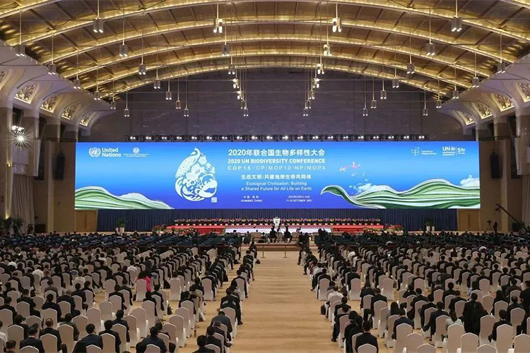 中交集团肯尼亚项目环保故事在联合国COP15上展示.jpg