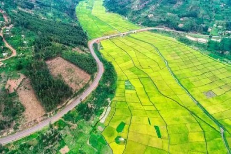 卢旺达卡雍扎-鲁苏莫道路改扩建工程喜获终验证书 2.jpg
