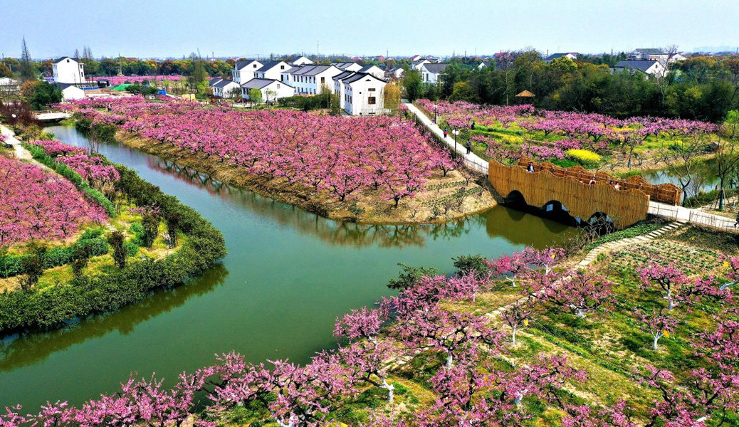 新时代“桃花源记”.jpg
